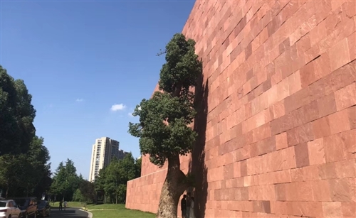 背影赏析句子文案图片朋友圈(精选43句)