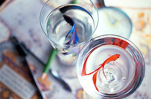 执着的句子怎么发朋友圈(54句)