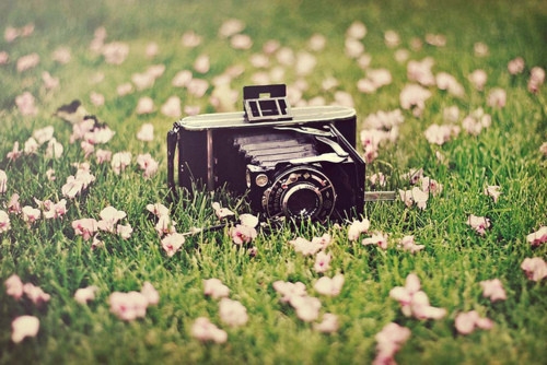 朋友圈看穿人的说说句子(精选37句)