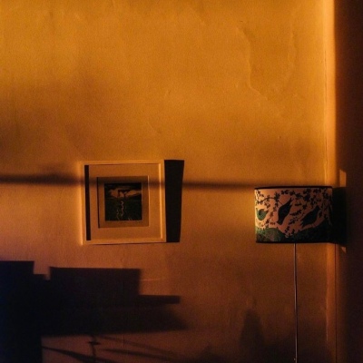 属猴风水上最好的微信头像(精选10张)