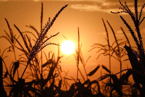 搬砖的经典说说(精选44句)