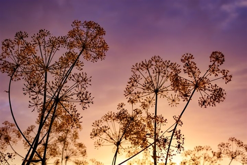 童年快乐简短的句子(精选66句)