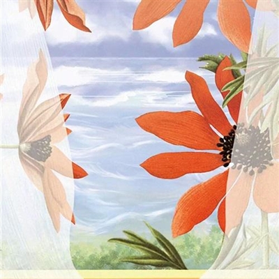 值得一辈子不换的头像80后(精选16张)