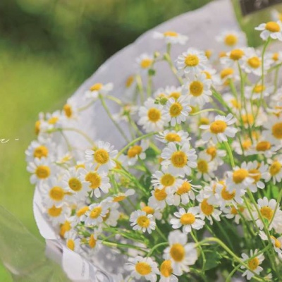 值得一辈子不换的头像80后(精选16张)