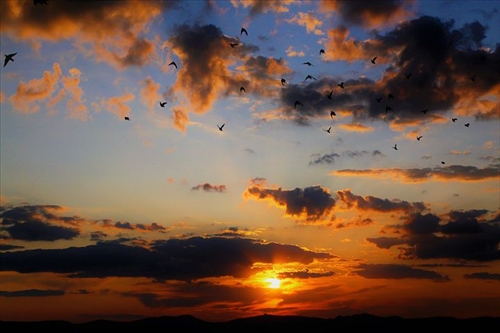 学会释怀把一切看淡唯美句子(44句) 学会释怀把一切看淡唯美句子(44句)