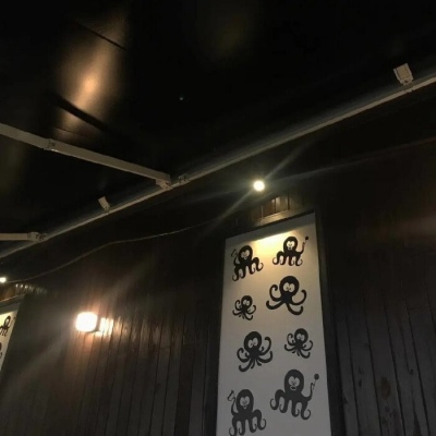 永久不换冷门的头像(精选10张)