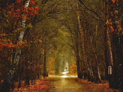 身体好才是真的好句子(精选67句)