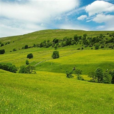 有助于事业成功的微信头像(精选12张)