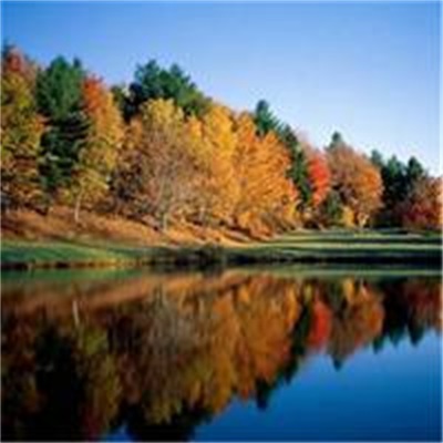 有助于事业成功的微信头像(精选12张)