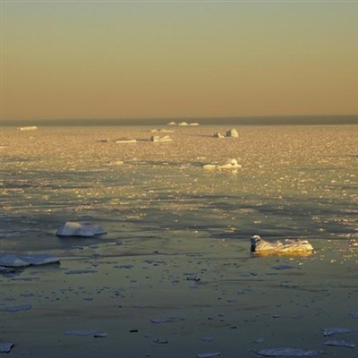 有助于事业成功的微信头像(精选12张)