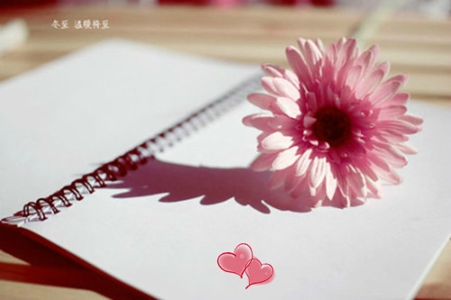 强大自己才是王道句子(精选41句)