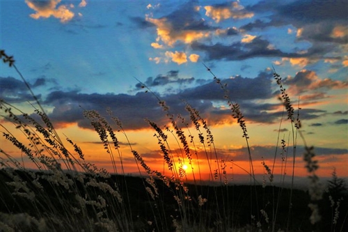 手受伤了怎么晒说说(精选44句)