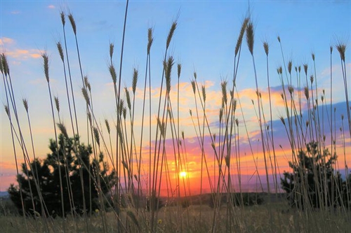 适合早上发的很暖心的句子(精选50句)