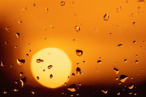 女人手握方向盘的语录(精选35句)