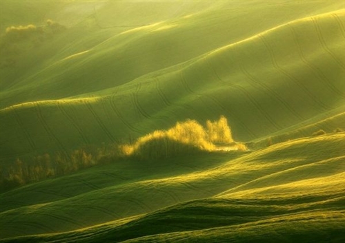 一句直接刺痛人心的话(精选44句)