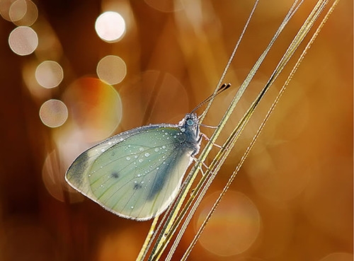 诠释青春的一段话(58句)