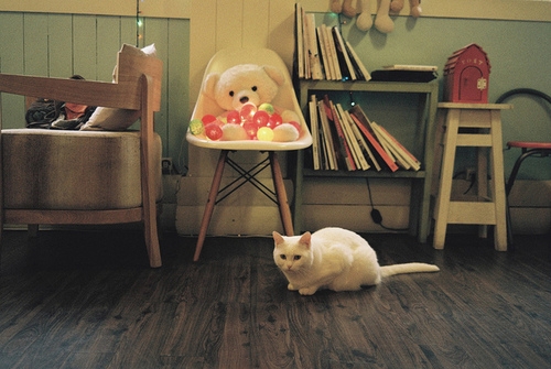 特别难听带妈侮辱骂人的话(49句)