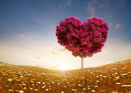 热爱家乡唯美句子(精选45句)