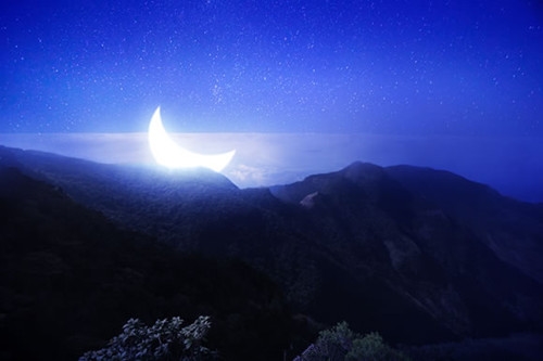 关于友情约定的句子(44句)