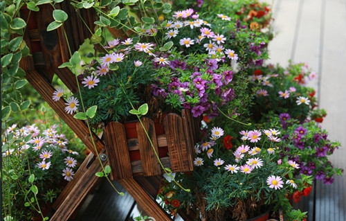 相亲相爱一家人的唯美句子(46句)