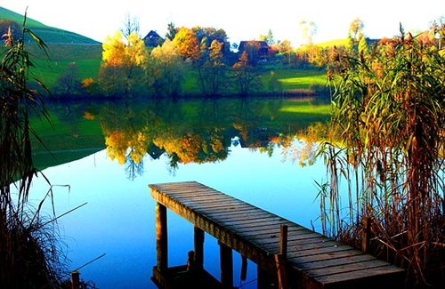 生命脆弱感悟的句子(41句)