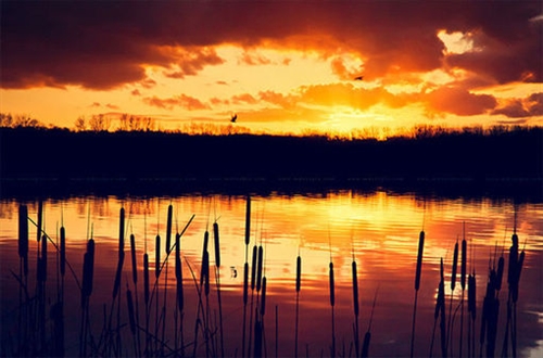 加班使我快乐搞笑句子(精选45句) 加班使我快乐搞笑句子(精选45句)