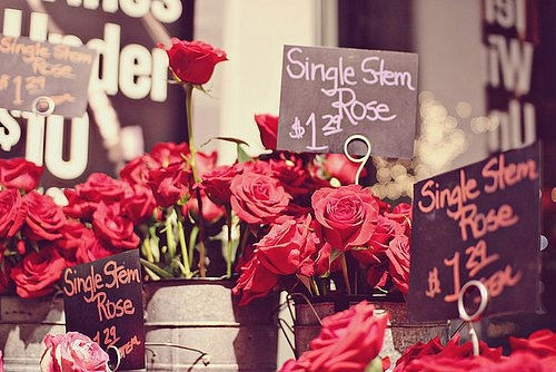 形容说错话后悔的句子(精选31句) 形容说错话后悔的句子(精选31句)