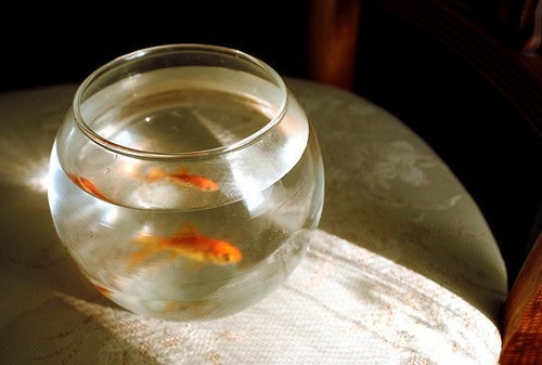 女生专用伤感句子(精选44句) 女生专用伤感句子(精选44句)