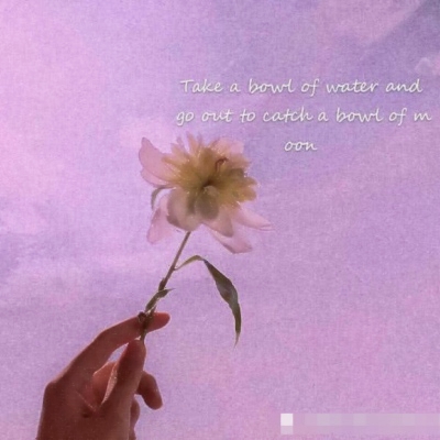 2023风水上最好的微信头像