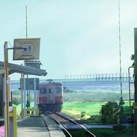 2023风水上最好的微信头像