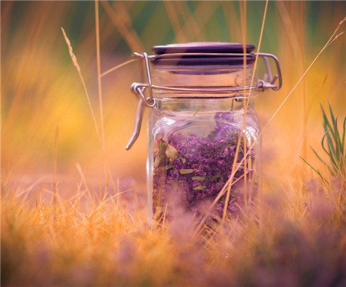 白衣天使的唯美句子(精选35句)