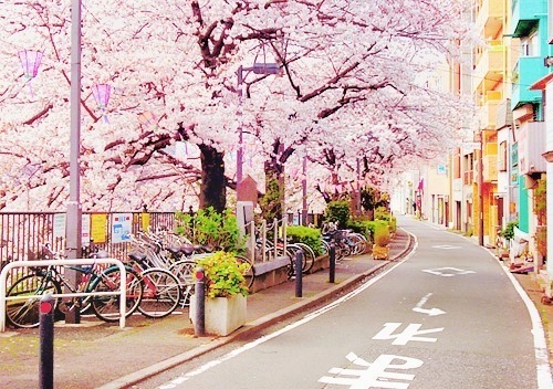 所有的心酸委屈自己扛的句子(精选37句)