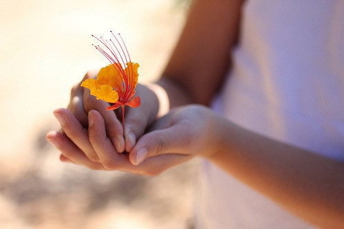 发朋友圈秀友谊的句子(39句)