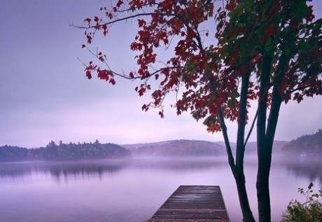 卡耐基最经典的一句话(精选56句)