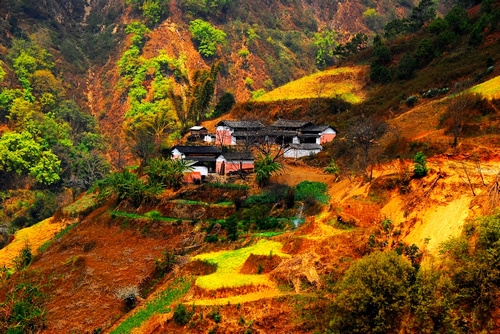 深秋落叶简单唯美句子(精选51句)