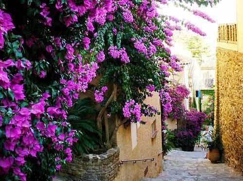 秋天随拍风景的心情说说(45句)