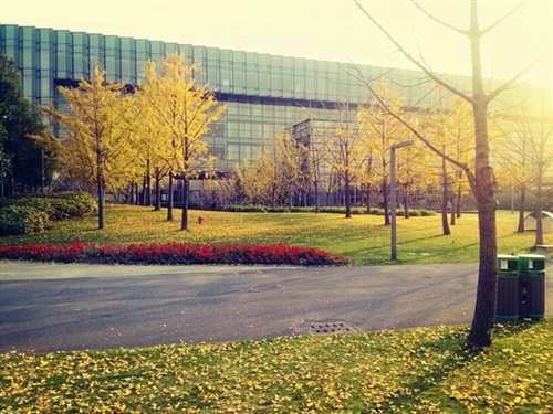 风好大发朋友圈的句子(69句) 风好大发朋友圈的句子(69句)