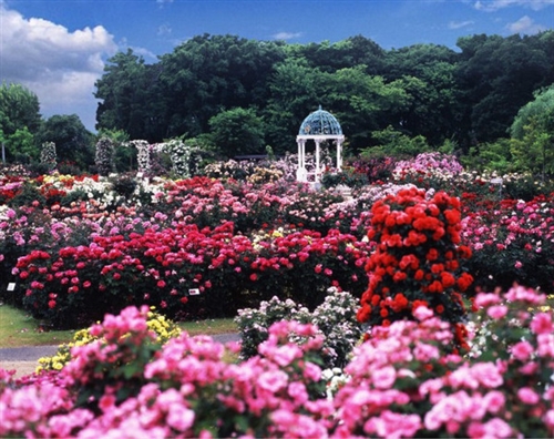 吸引女生又很撩人的一句话(45句) 吸引女生又很撩人的一句话(45句)