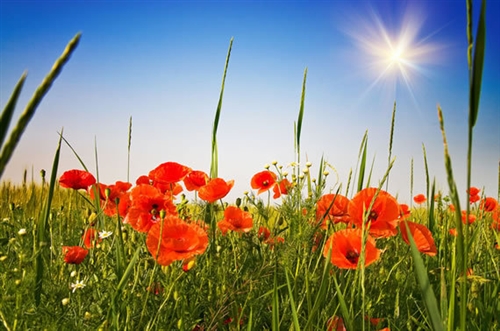 开心快乐每一天的唯美句子(精选45句)