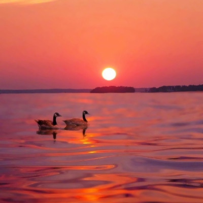 适合40岁以上父母用的头像(精选12张)