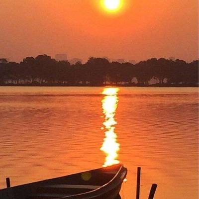 适合40岁以上父母用的头像(精选12张)