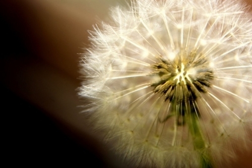 从女孩变成妈妈的文案怎么写(精选30句) 从女孩变成妈妈的文案怎么写(精选30句)