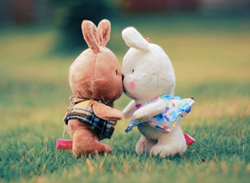 不生气的智慧经典语录(40句)