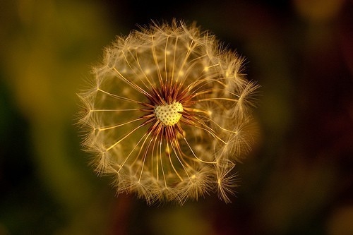 女人要耐得住寂寞的经典语录(49句) 女人要耐得住寂寞的经典语录(49句)