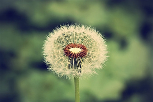 晚上贴面膜发朋友圈怎么说好(精选49句)