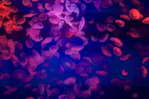 送给嘴贱的人的一段话(50句)