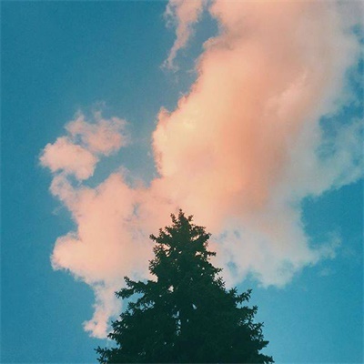 老年人头像微信头像男(精选12张)