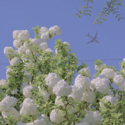 老年人头像微信头像男(精选12张)