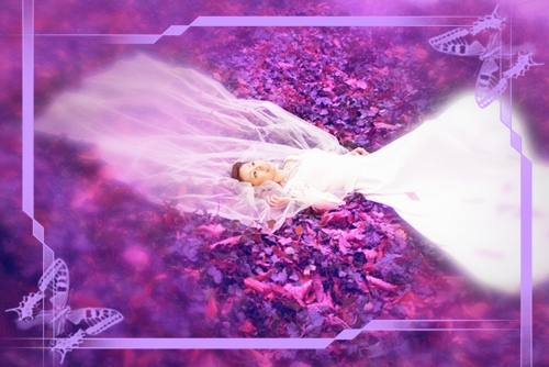 一眼就惊艳的女孩名字(精选89句)