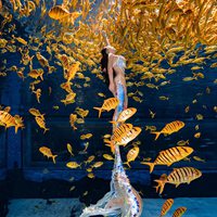 年纪大点的头像(精选10张)